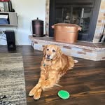 Mike Groth - @nascarmike73 - Instagram