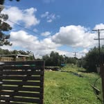 Michael - @mikegrowsgreeens - Instagram