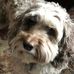 Mike Grow - Facebook