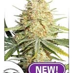 mike grow - @themikegrow420time - Instagram