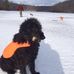 Michael J Guerrera Jr - Facebook