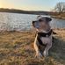 Michael Orazio Guerrera - Facebook