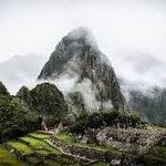 Mike Guerrera - @guerreramike - Instagram