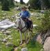 Mike Gunn - Facebook