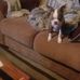 Mike Gunn - Facebook