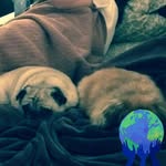 Mike Gurule - @mike_gurule - Instagram