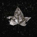 Mike Gurule - @mcgurule - Instagram