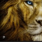 Mike Gutierrez - Facebook