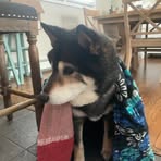 Mikey Hadd - Facebook