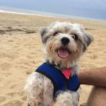 Mike Hadley - @mike.hadley.9022 - Instagram