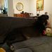 Mike Hadley - Facebook