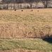 Mike Hadley Farms - Facebook
