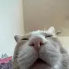 mikeyhadley - @mikey_hadley - TikTok