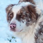 Mike Haigh - @haigh3400 - Instagram