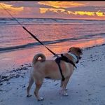 Mike Hallam - @mikeamyhallam - Instagram