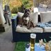 Michael Halliwell - Facebook