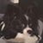 Mike Halpin - @halpin.mike - Instagram