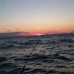 Mike Halvorsen Jr. - @halvorsenjr.mike - Instagram