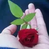 M Hamdan - @mhamdanmikehousto - TikTok