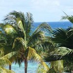 @mike_ham_dan - Instagram