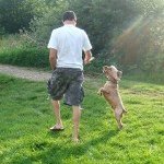 Mike Hamlett - @mike_hamlett - Instagram