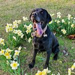 Mike Hamlett - @mikehamlett80 - Instagram