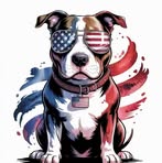 Mike Hammar - Facebook