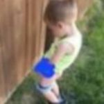 Mike Hammar - @hammar_mike - Instagram
