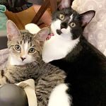 Mike hanner - @dagaxek521 - Instagram