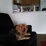 mike Harnish - @harnish.mike - Instagram