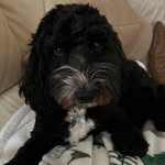 @mikehartwell1974 - Instagram