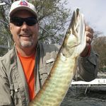 Mike Hashek - @mikehashek - Instagram