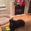 mikehatcher383 - @mikehatcher383 - TikTok