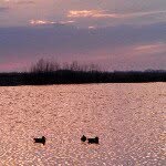 mike hauser - @hoosierwaterfowlers - Instagram