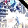cowboy - @mikehawthorne37 - TikTok