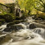 Mike Hawthorne - @mike.hawthorne.52 - Instagram