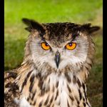 Mike Hawthorne - @hawthorne7236 - Instagram