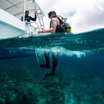 Mike Hess - @mike_hess_dive - Instagram