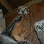 Michael Thomas Hedge - @mike_hedge - Instagram