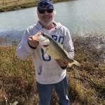 Mike Hedges - @mike.hedges.986 - Instagram