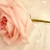 Mikehedges - @fh12.4 - TikTok