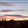 mikeheisler70 - @mikeheisler70 - TikTok