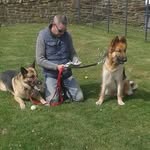 Mike Hellens - @mike.hellens.9 - Instagram