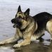 Mike Hellens - Facebook