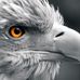 Mike Heller - Facebook
