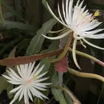 Mike Hellmann - @hellmann_mike - Instagram
