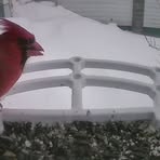 Mike Helmick - Facebook