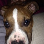 Mikey Helmick - @mikey.823 - Instagram