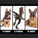 Mike Hemphill - @mike.hemphill.71 - Instagram