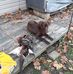 Mike Hemphill - Facebook